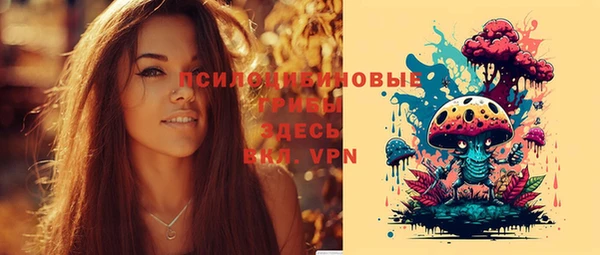 хмурый Армянск