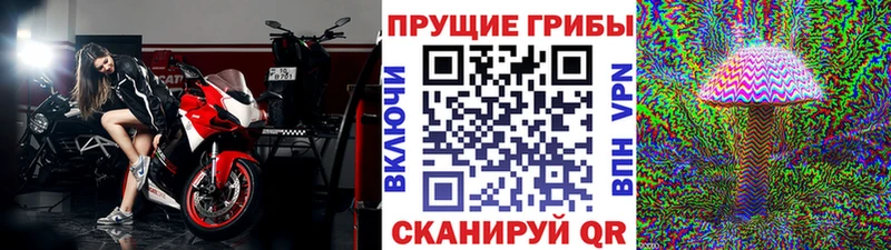 Галлюциногенные грибы ЛСД  где можно купить   Сланцы 
