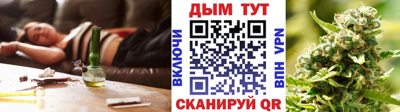 Марихуана гибрид  Сланцы 